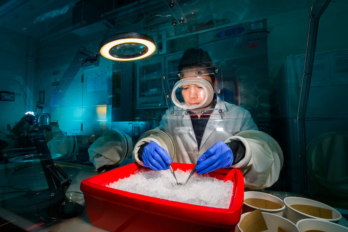 a person in a lab coat, glasses, and gloves working with a mosquito over a red bucket full of ice.