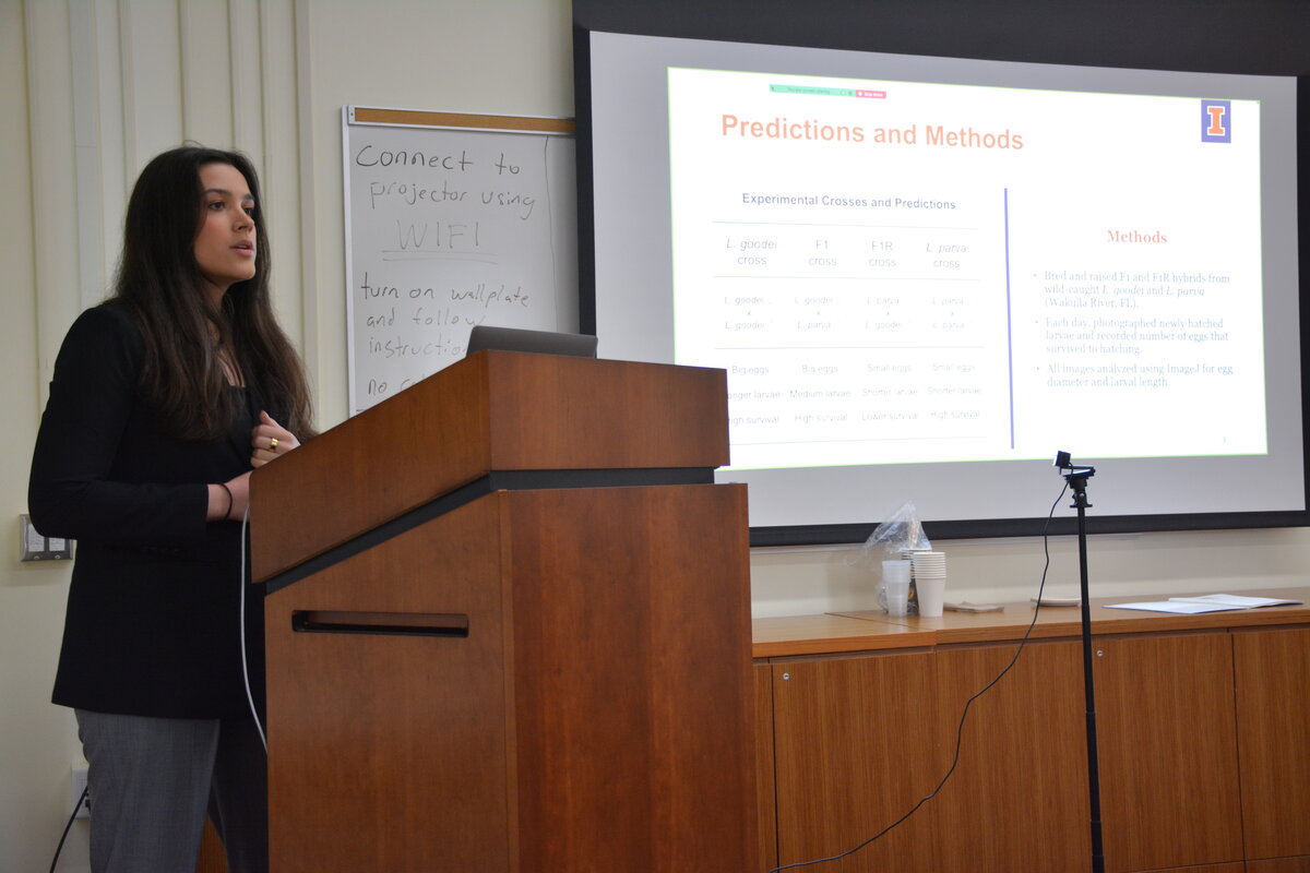 A woman speaking at a podium