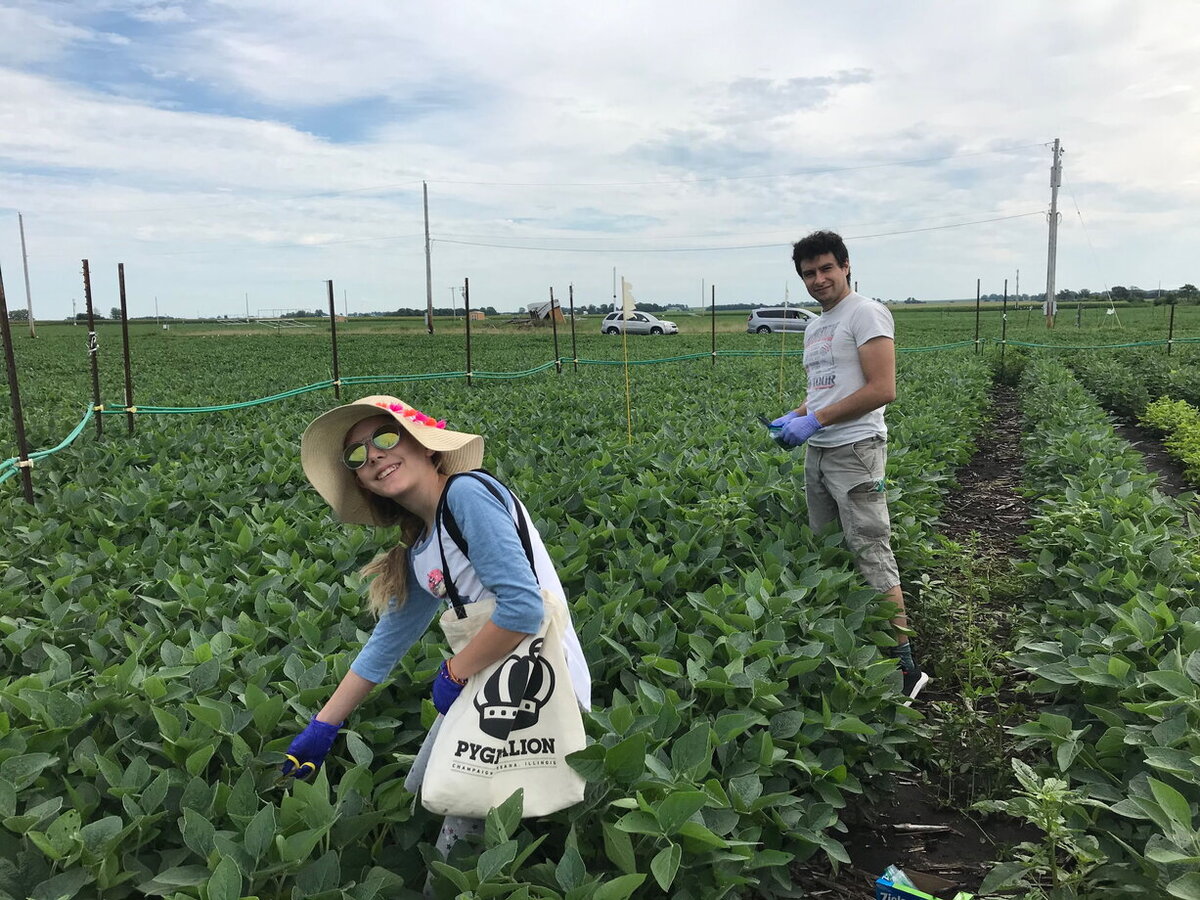 students doing research in a soy field
