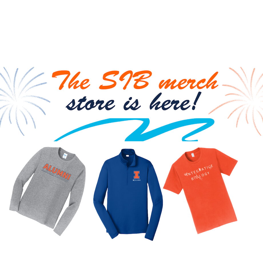 a graphic showing merch