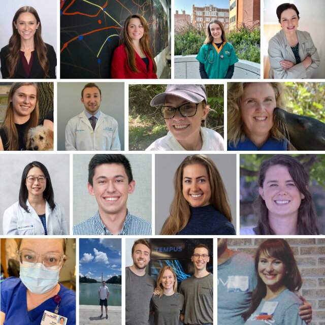 a collage of SIB alumni