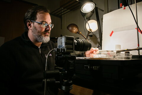 man taking a photo of an ant