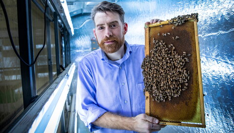 man holding honeycomb with bees