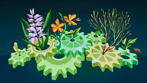 graphic of plants in cog wheels