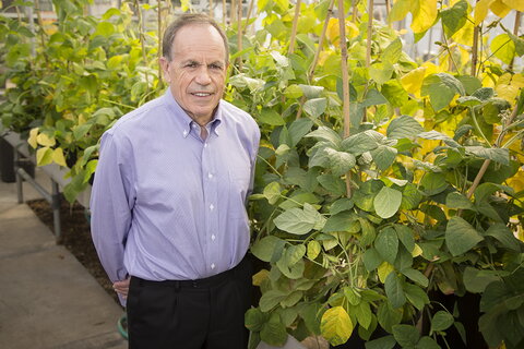 smiling man in a green house