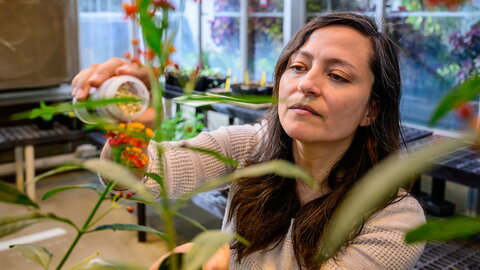 woman tending to a plant