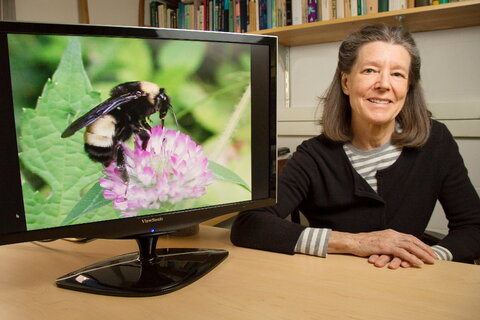 woman next to computer screen displaying a bee