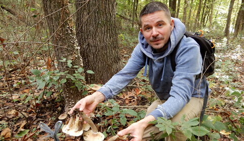 man harvesting mushrooms in the woods