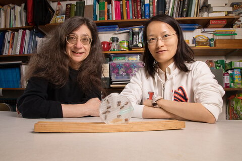 photo of two women and a ball with bees inside