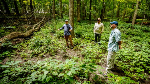 three people in a forest