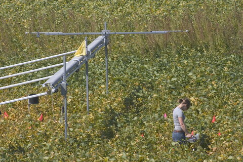 woman standing in a field