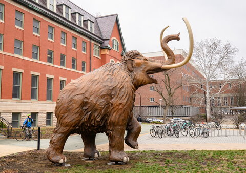 wooly mammoth statue in front of the Natural History Building