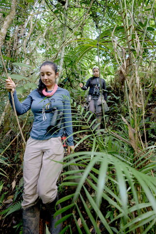 team walks through forest