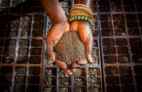 Hands holding dirt