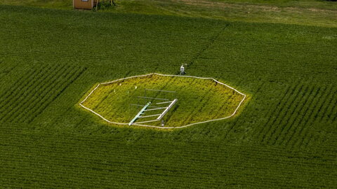 A patch of crops growing in altered climate conditions