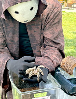 A person in a costume holding a tarantula 