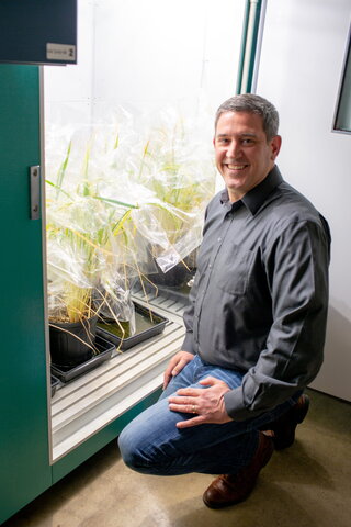 A man crouching next to several bagged plants