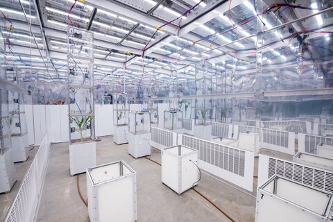 An indoor shot of the CABBi research facility