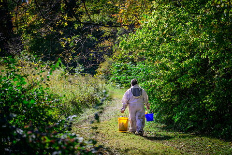 A woman in a bee suit carrying buckets down a wooded path