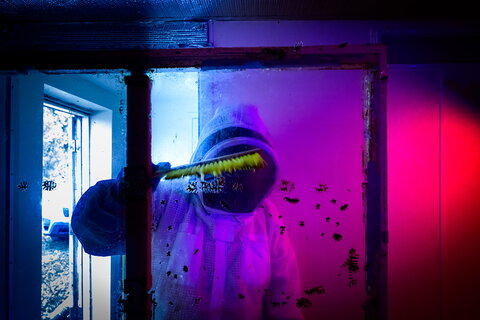 A person in a bee suit clearing bees off glass