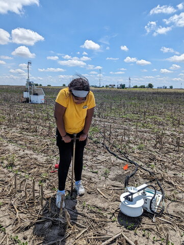 A person standing in a field