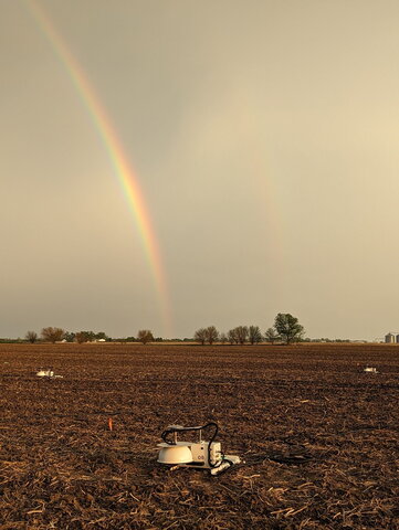 Rainbow over a field