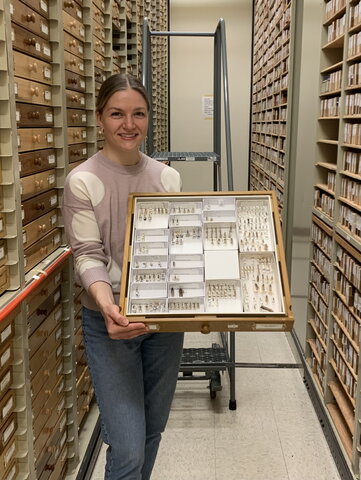 Lily standing with a collection of insects