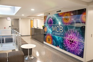 MCB