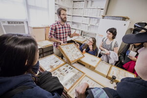 TA displaying an insect collection to students