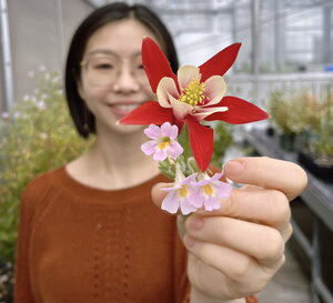 A photo of a woman in a dark orange shirt holding a flower