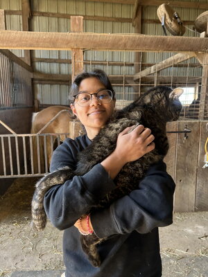 A smiling person holding a cat in some stables