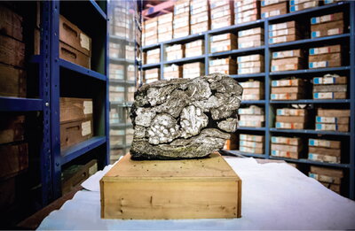 A cross section of a coal ball with the collection of others behind it.