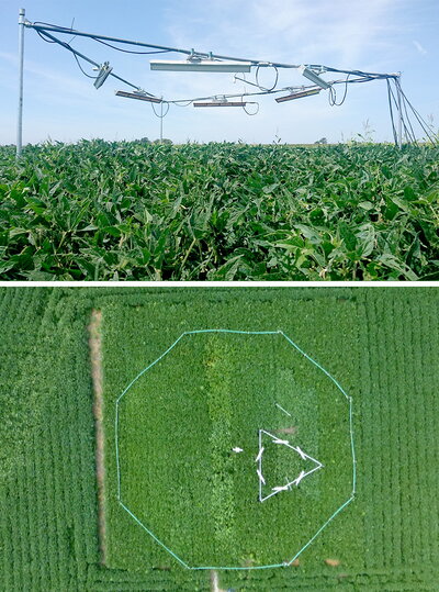 Field experiments at the Soybean Free-Air Concentration Enrichment Facility at the U. of I. simulate higher heat, top, nested within an elevated carbon dioxide treatment, bottom, representing future conditions.