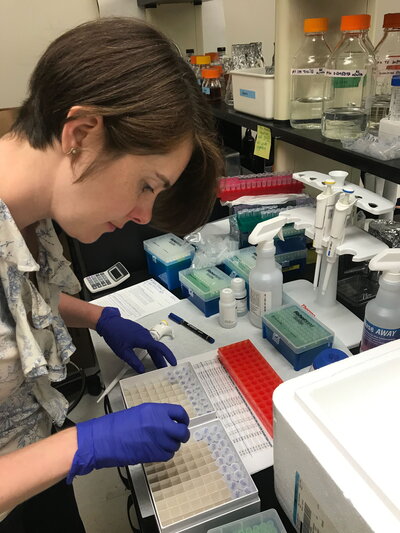 A photo of a woman working at a lab station