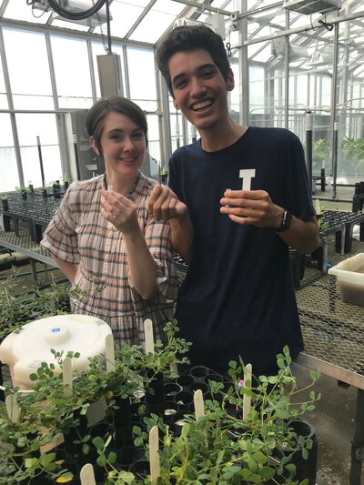 A woman and young man holding up plant seedlings with plants in front of them in a greenhouse