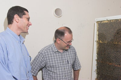 Two men smiling and looking at a bee collection