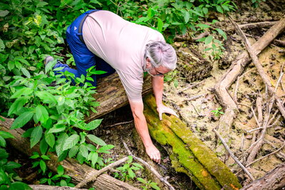 A man in a pink shirt and blue jeans on his hands and knees working with some tree bark