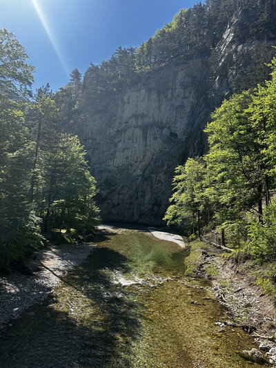 A photo of a creek with trees around it and a cliffside in the distance