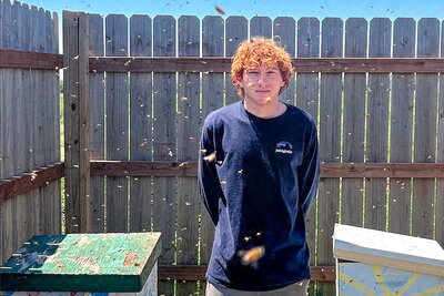A curly haired redhead student in a blue shirt standing by bees flying around him with a fence in the background