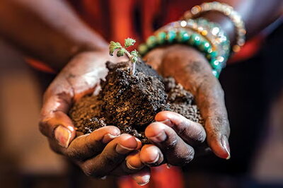 Hands holding dirt with a seedling growing out of it