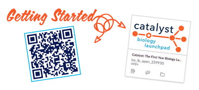 getting started with Catalyst