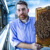 man holding honeycomb with bees