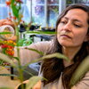 woman tending to a plant