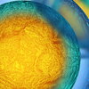 an artistic rendering of a cell