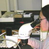 woman looking into a microscope