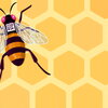 cartoon image of bee