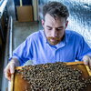 man holding honeycomb with bees