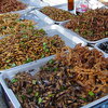 fried insects