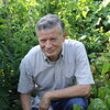 man kneeling in a garden