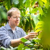 man touching a big leaf